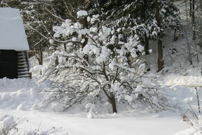 February in Vermont