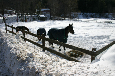 March in Vermont