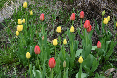 May in Vermont