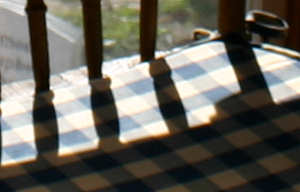 Derby Line Opera House (Detail)