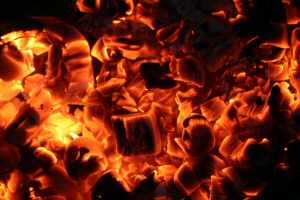 Coals