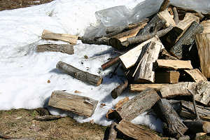 End of Winter