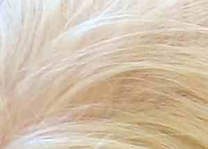 Child 1 - Head (Detail)