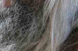 Grandfather (Detail)