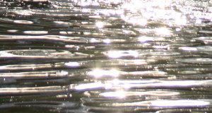 Gentle Summer Flow (Detail)