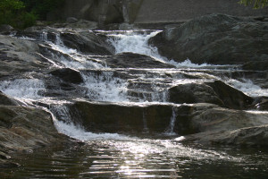 Gentle Summer Flow