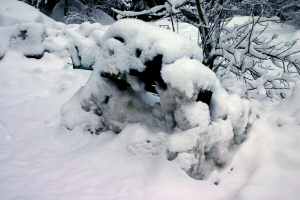 Buried Mailboxes