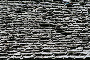 Shake Roof