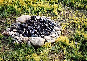 The Fire Ring