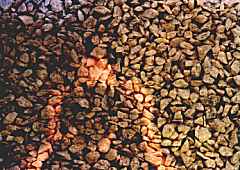 Gravel Window