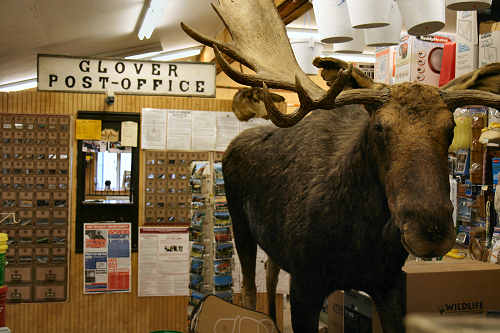 The Glover Store has a post office and a moose