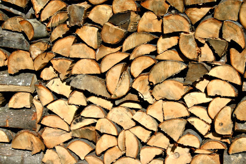 Our woodpile is ready for the winter