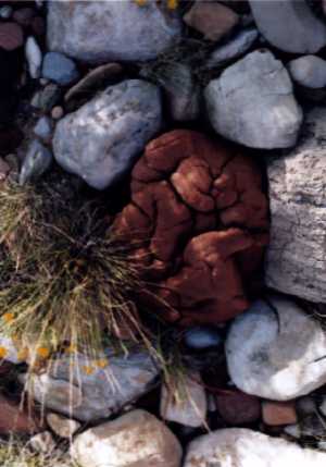 Espejo Brain Rock