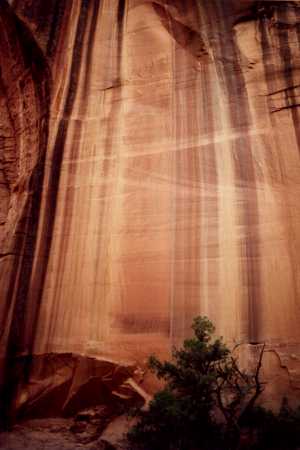 Burr Trail No. 3