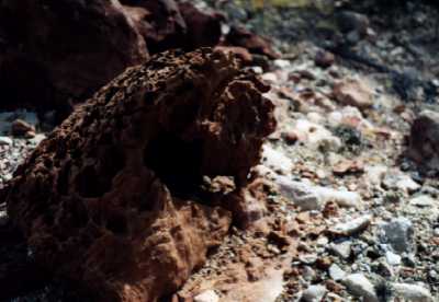 Frog Rock