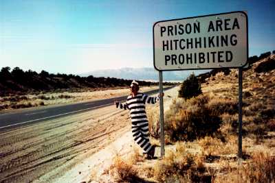 The Hitchhiker