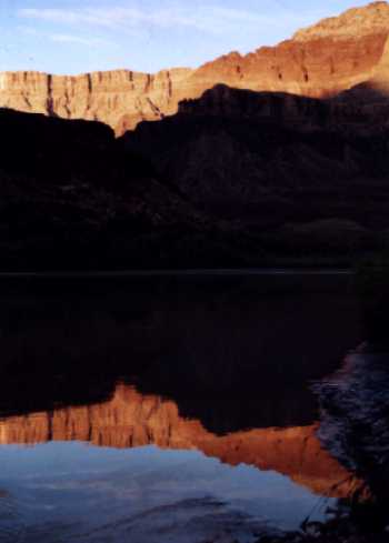 Reflection
