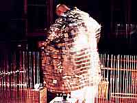 Echo Mirror Coat