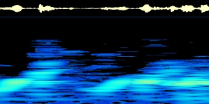 Spectrogram Analysis Screen