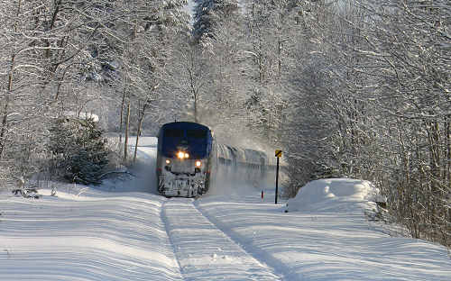 Amtrak Vermonter heading my way at full speed Amtrak Vermonter heading my way at full speed