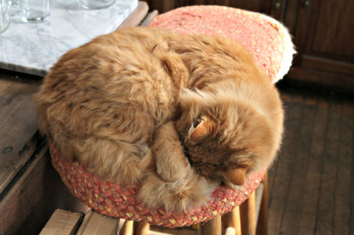 Boom asleep Boom asleep