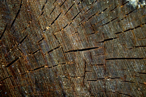 Wood baked and checked Wood baked and checked
