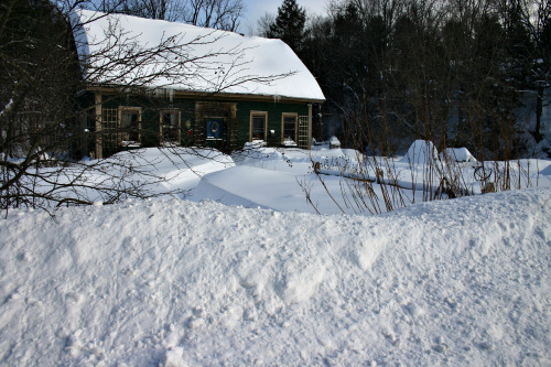 Fence in snow