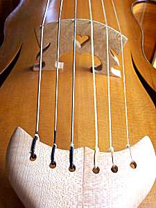 gamba bridge and tailpiece