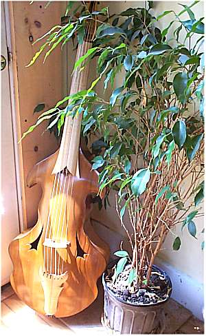 viola da gamba $6,500