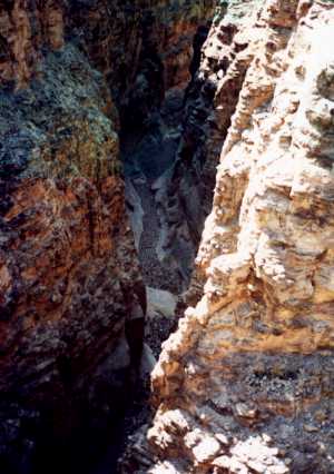 Narrow and Deep