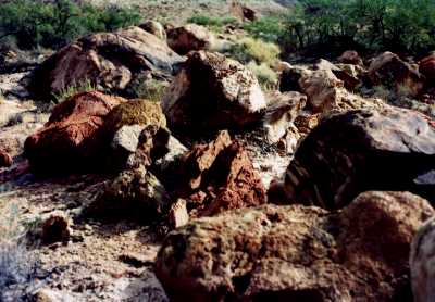 Rock Garden at Espejo