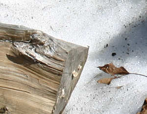 End of Winter (Detail)