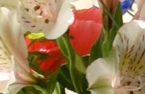 Bouquet by the Window (Detail)