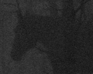 Horses in Mist (Detail)