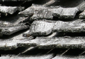 Shake Roof (Detail)