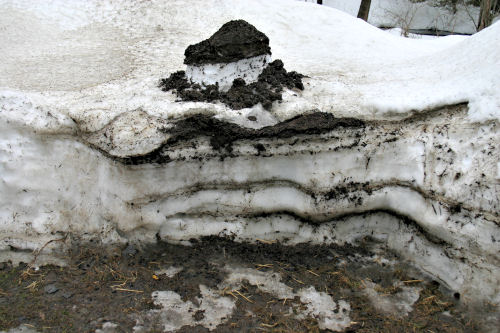 Rotting snow and ash Rotting snow and ash