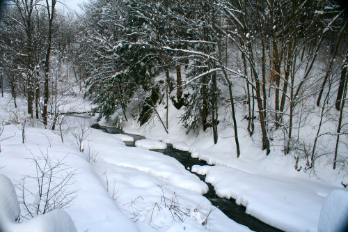 Snow walk in Northfield Falls