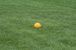 Class of 2008 Playing Kickball